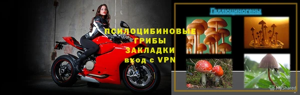 кокс Аркадак