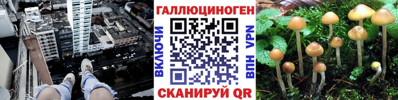 Псилоцибиновые грибы Magic Shrooms  KRAKEN маркетплейс  Хилок  наркотики 